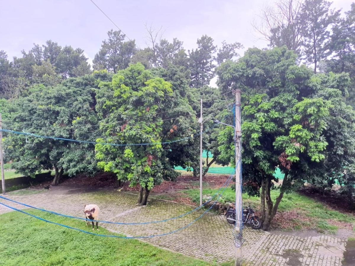 Nature View Homestay Dehradun Luaran gambar